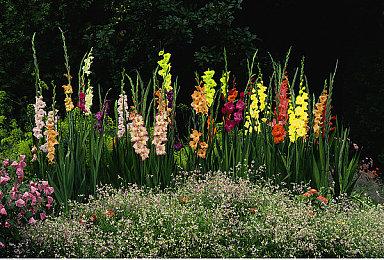 《瑞奇与叮当：分离》PC版DirectStorage 1.2演示